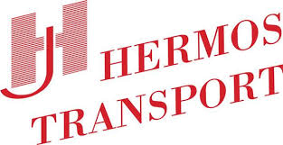 Hermos PNG logo Mario