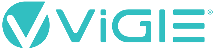 ViGIE